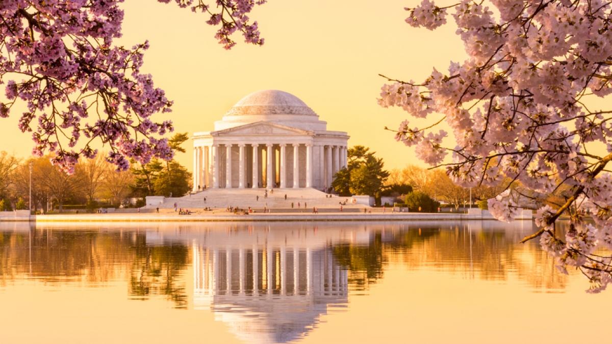 Jefferson Memorial with cherry blossoms